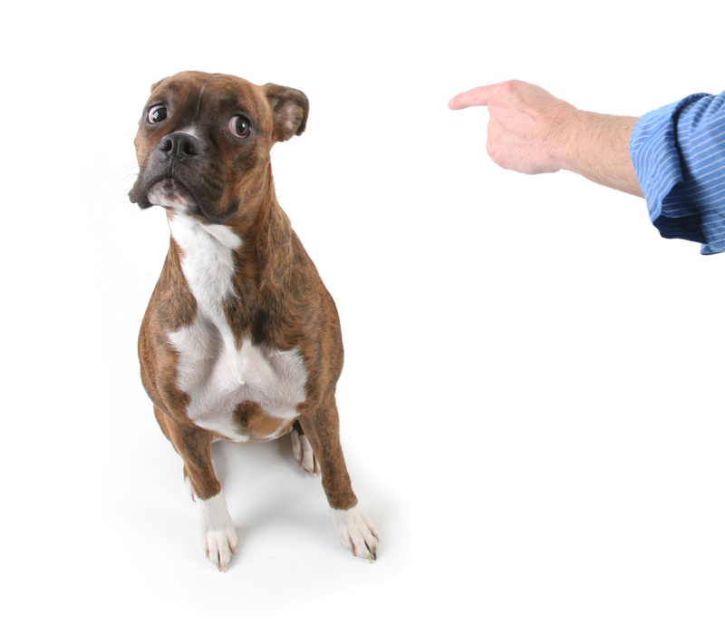 Rubbish removal Waste removal